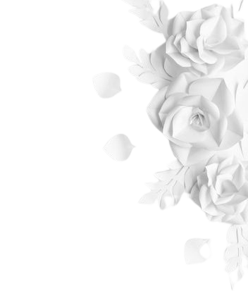 vector